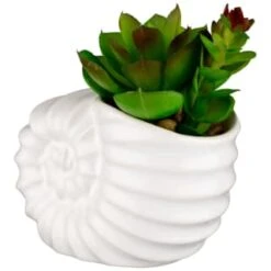 B&M Scandi Shore Small Shell Succulent -Home Furnishings Store 380110 small shell succulent 3