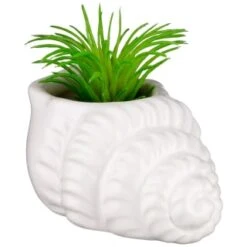 B&M Scandi Shore Small Shell Succulent -Home Furnishings Store 380110 small shell succulent 6